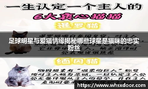 足球明星与爱猫情缘揭秘哪些球星是猫咪的忠实粉丝