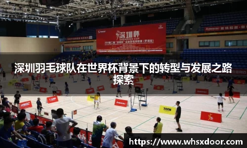深圳羽毛球队在世界杯背景下的转型与发展之路探索
